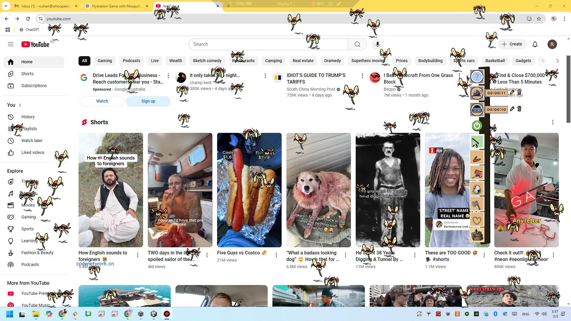 走开！/Buzz Off!|思创源码网