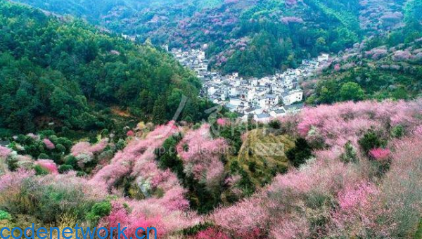 处女座如何处理生活中的细节问题？|思创源码网