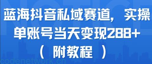 蓝海抖音私域赛道，实操单账号当天变现288+(附教程)|思创源码网