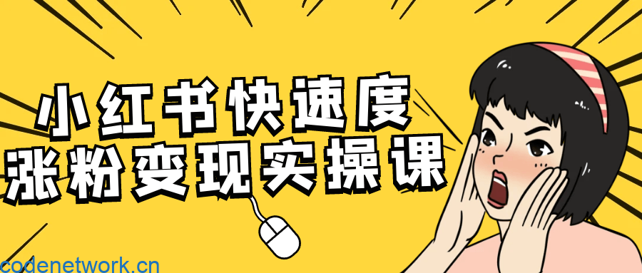 小红书快速度涨粉变现实操课|思创源码网