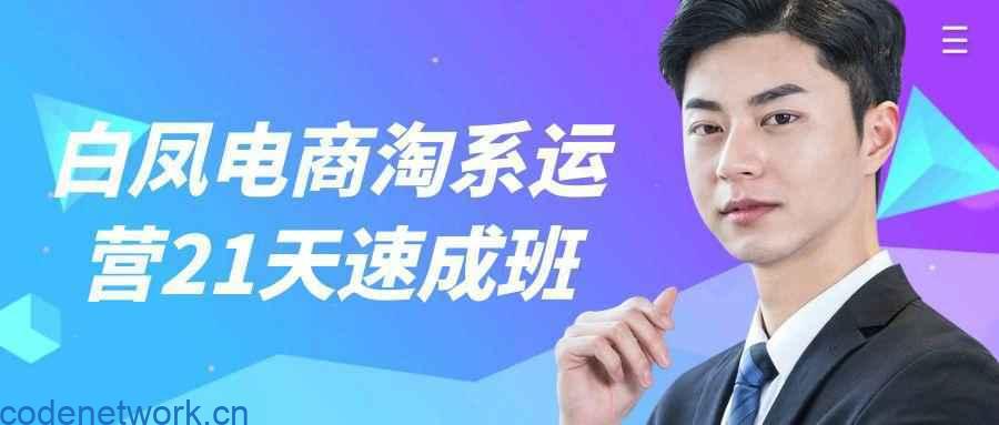 白凤电商淘系运营21天速成班|思创源码网