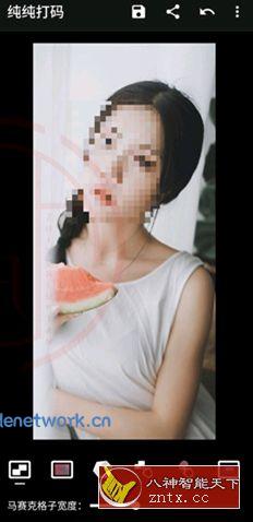 纯纯打码v4.10.2高级版|思创源码网