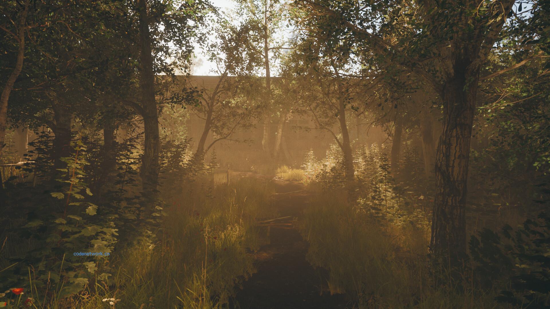 我的碎片/Pieces of me