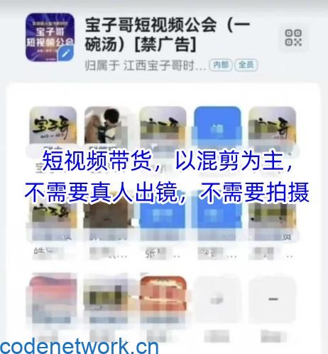 宝子哥头部团队短视频带货，以混剪为主，不需要真人出镜，不需要拍摄【更新6月】|思创源码网