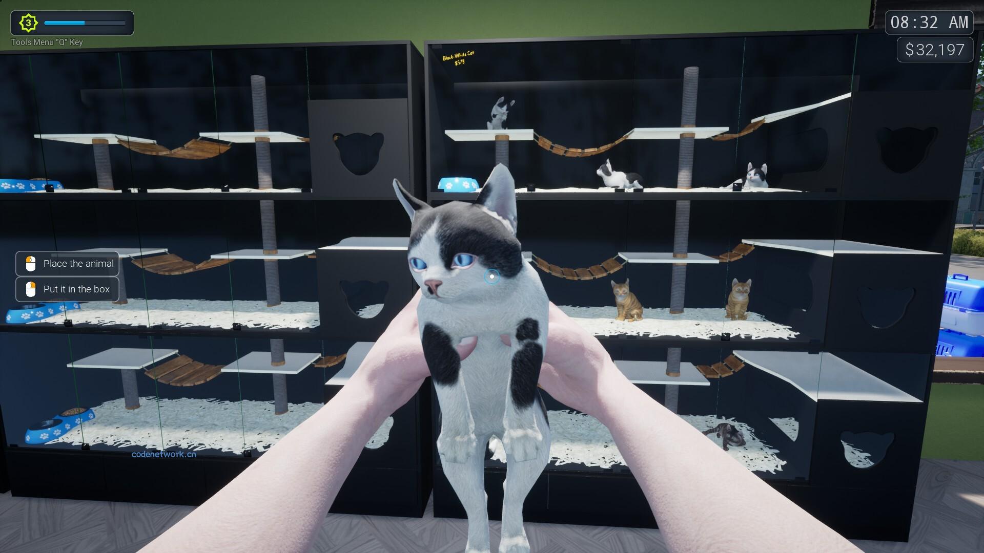 异域风情2：宠物店模拟器/Exotica 2: Pet Shop Simulator 版本更新
