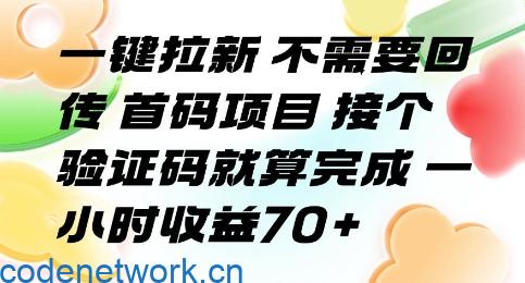 一键拉新 不需要回传 首码项目 接个验证码就算完成 一小时收益70+【揭秘】|思创源码网