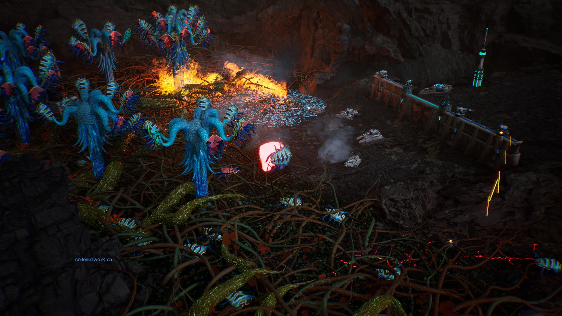 星萼/Calyx|思创源码网