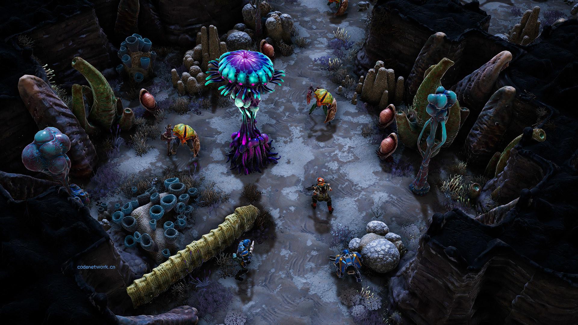 凤凰点：周年版/Phoenix Point: Year One Edition|思创源码网