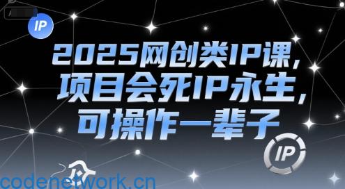 2025网创类IP课，项目会死IP永生，可操作一辈子|思创源码网