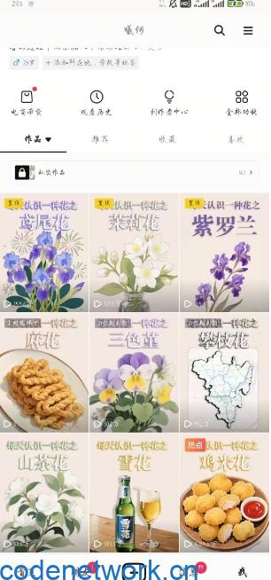 AI心理学教程，从零基础教学直到变现，创作者伙伴计划收益|思创源码网