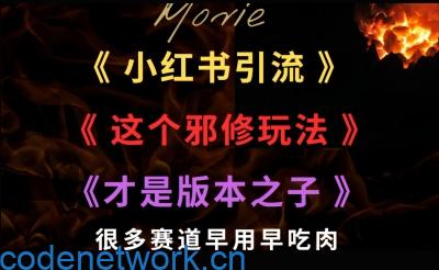 最近小红书引流这个邪修玩法才是版本之子，很多赛道早用早吃肉|思创源码网