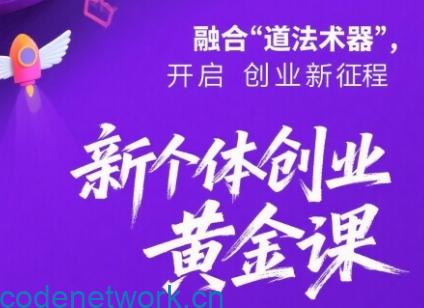 新个体创业黄金课：道法术器四维抢占2025红利|思创源码网