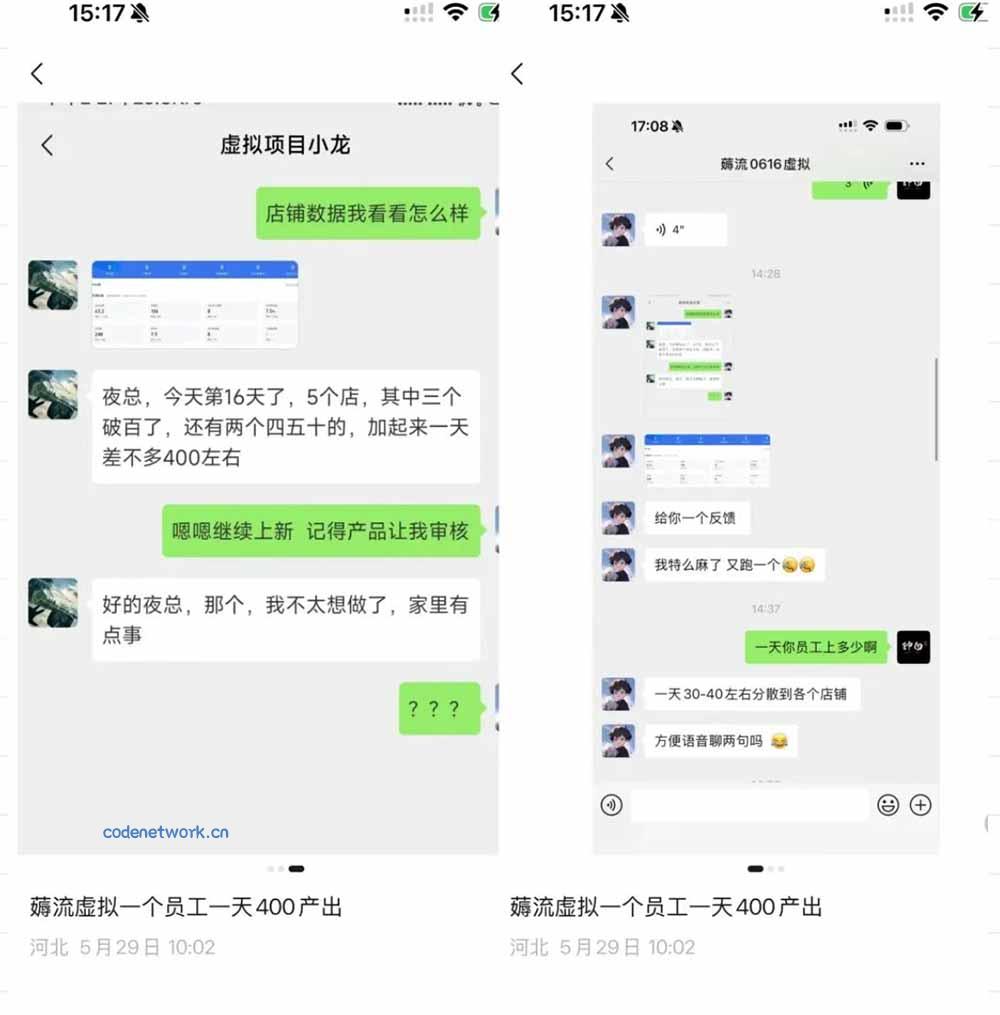薅流虚拟2.0陪跑课：选一次品淘宝闲鱼同步卖，日入100-200纯利，0成本AI流程化操作|思创源码网