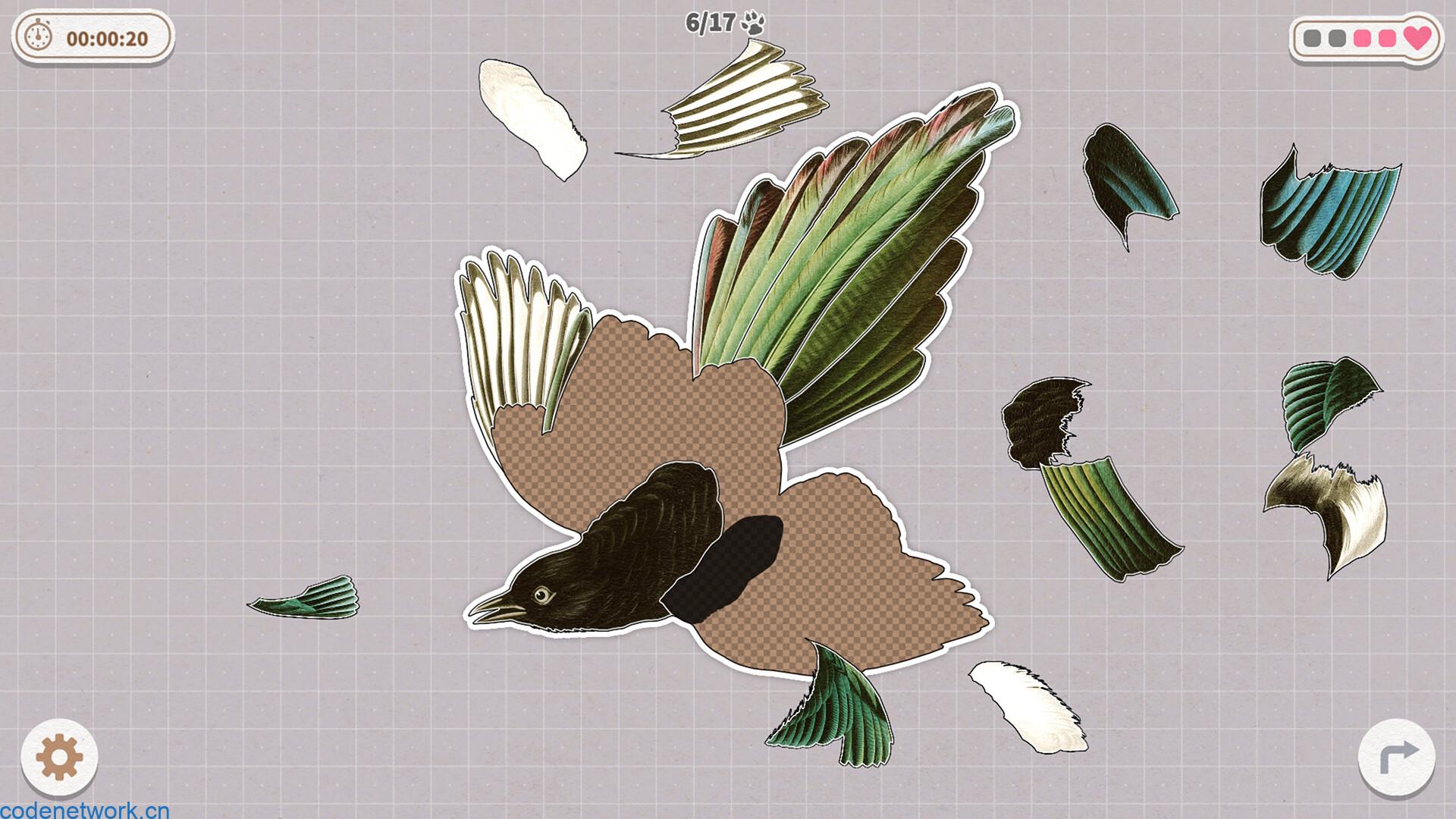 挤在一起的鸟鸟/Birds Huddled Together|思创源码网