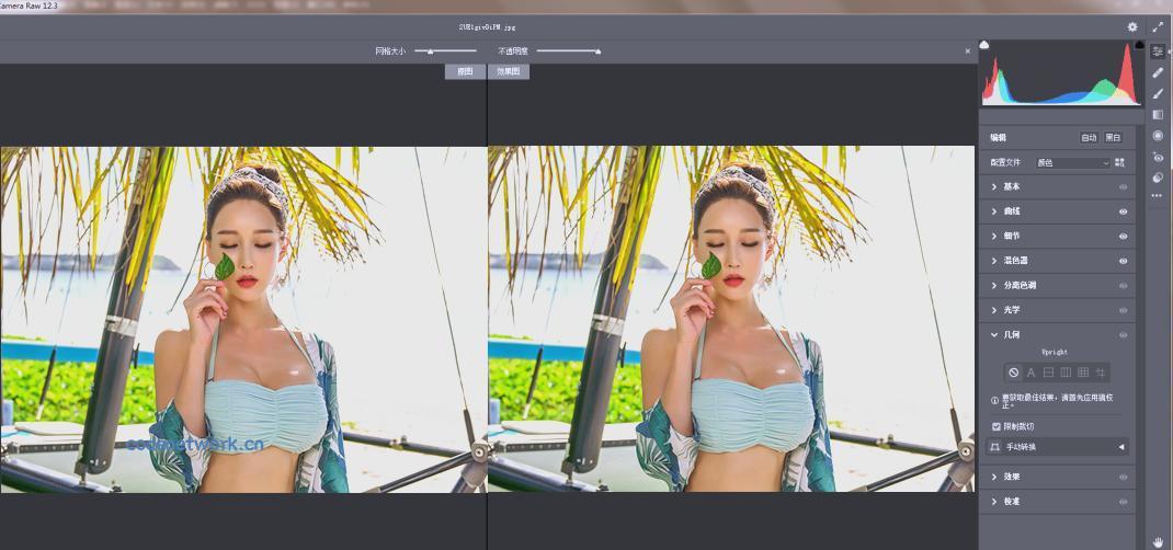 RAW处理Adobe Camera Raw v18.3.2中文版|思创源码网