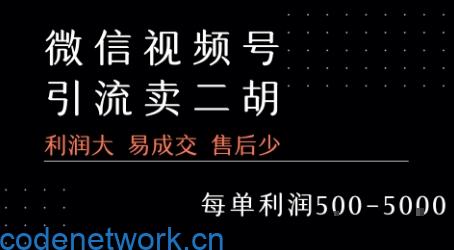 视频号卖二胡教程，利润大 易成交 售后少，一单利润5张+|思创源码网