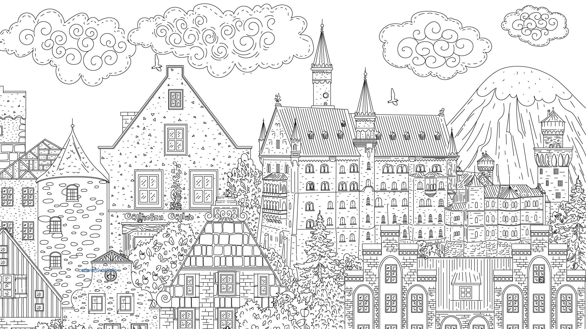 隐藏在德国的猫/Cats Hidden in Germany 隐藏在德国的猫/Cats Hidden in Germany