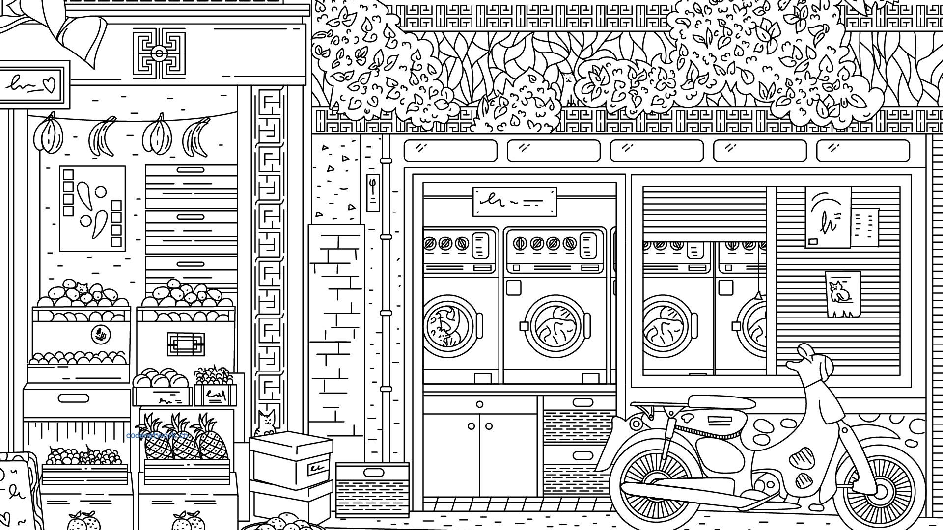 隐藏在中国的猫/Cats Hidden in China 隐藏在中国的猫/Cats Hidden in China