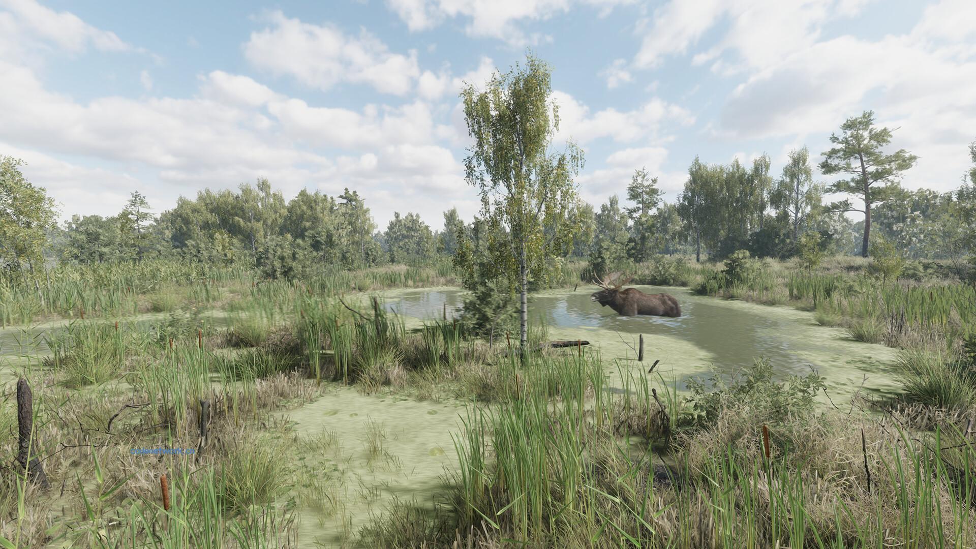 猎捕行动/On the Hunt