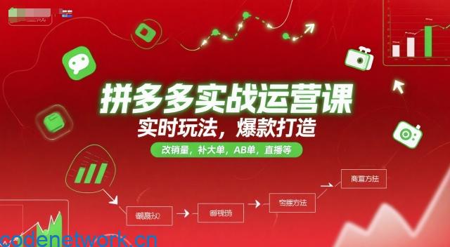 拼多多实战运营课，实时玩法，爆款打造，改销量，补大单，AB单，直播等（更新2025月）|思创源码网