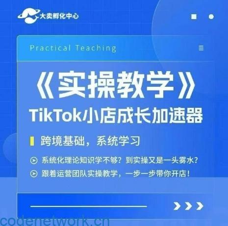 大卖家孵化中心TikTok实操课，TikTok小店成长加速器，跨境基础系统学习，一步一步带你开店|思创源码网
