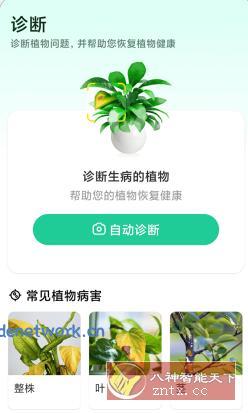 Plant Parent 植物养护v1.105高级版|思创源码网