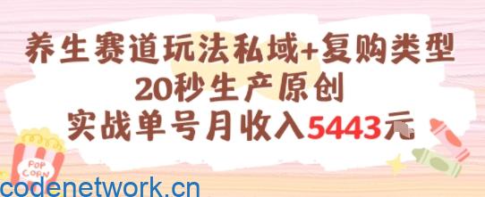 养生赛道玩法私域+复购类型，20秒生产原创实战单号月收入5k+|思创源码网
