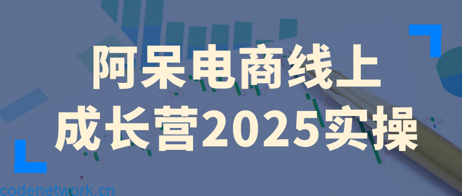 阿呆电商线上成长营2025实操|思创源码网