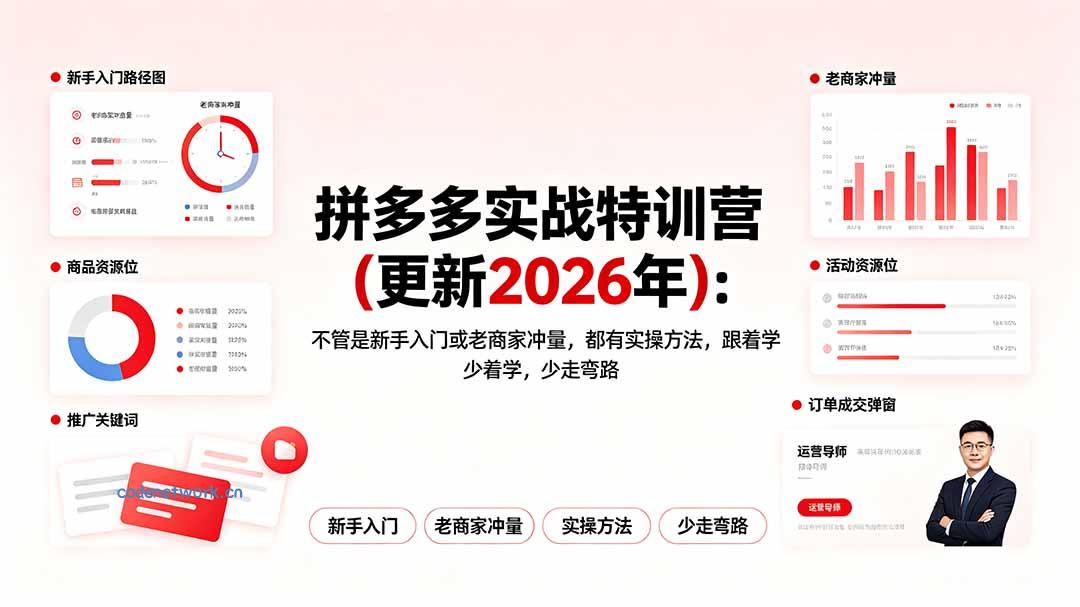 拼多多实战特训营(更新2026年|思创源码网