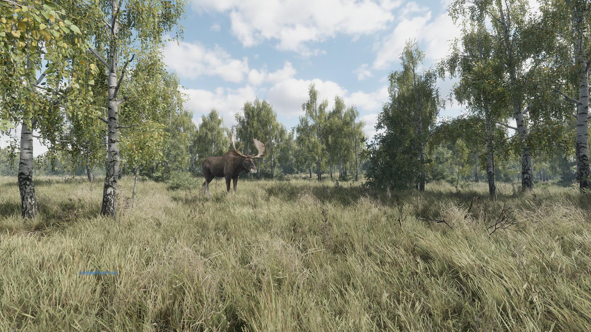 猎捕行动/On the Hunt