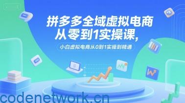 拼多多全域虚拟电商从零到1实操课，小白虚拟电商从0到1实操到精通|思创源码网