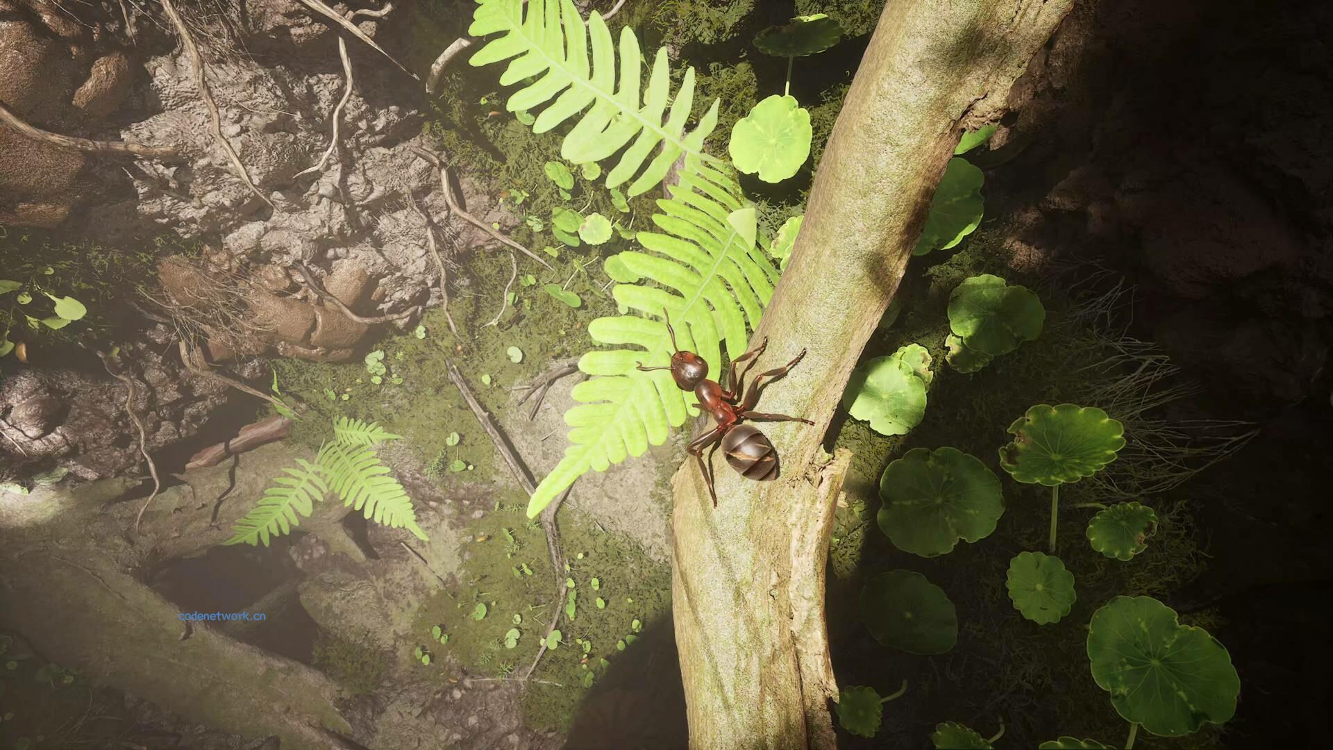 蚂蚁帝国/Empire of the Ants 版本更新|思创源码网