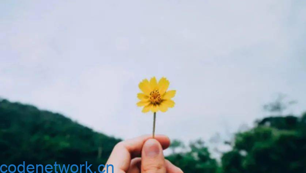 天秤座的人在感情中专情吗？|思创源码网