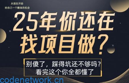 25年，你还在疯狂的找项目吗？别傻了，看完这个你都懂了【揭秘】|思创源码网