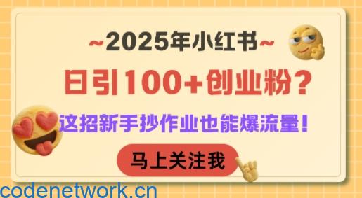 2025年小红书日引100+创业粉？这招新手抄作业也能爆流量！|思创源码网