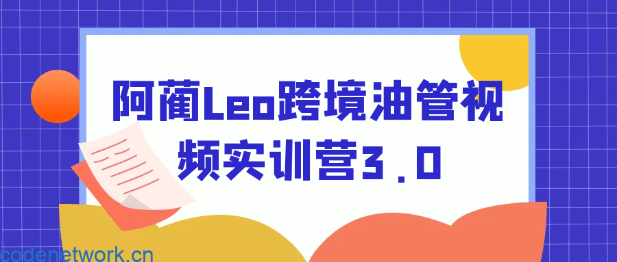 阿蔺Leo跨境油管视频实训营3.0|思创源码网