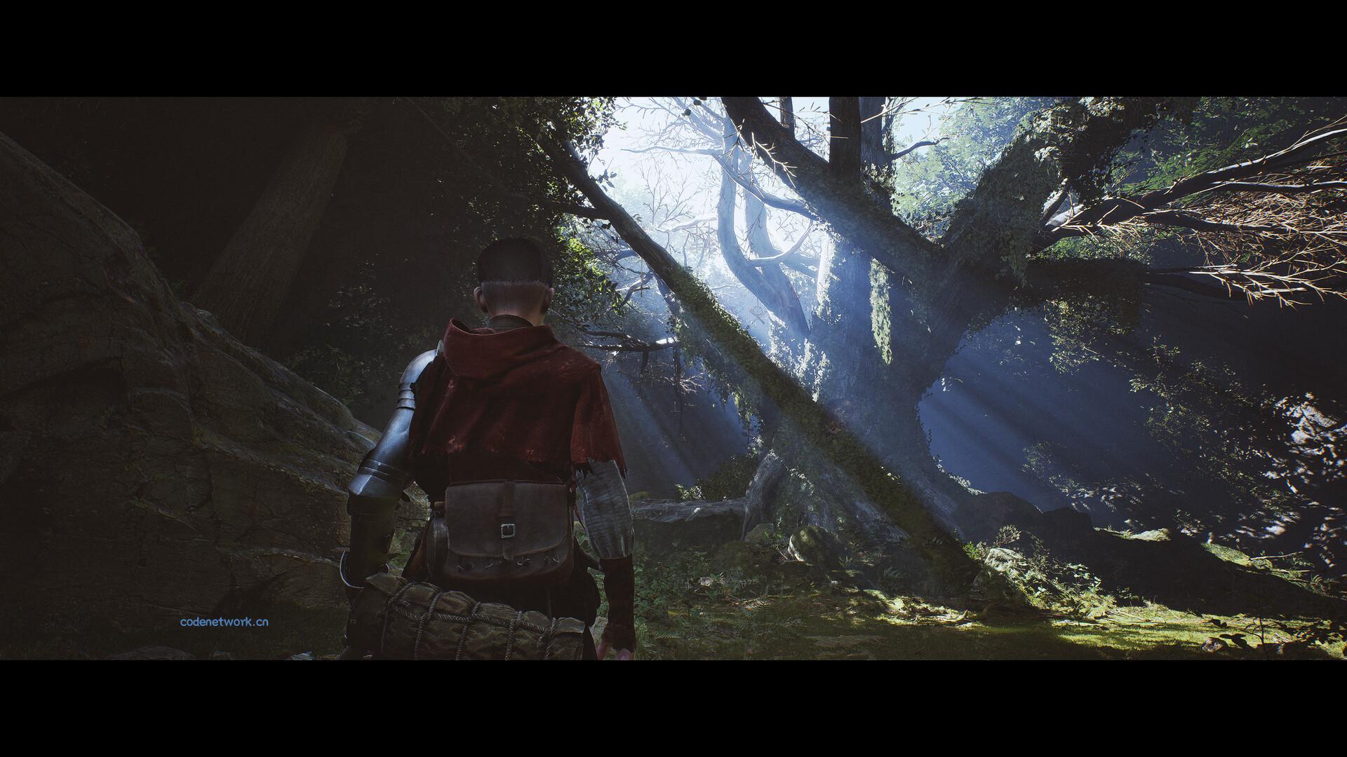 1348：圣誓/1348 Ex Voto