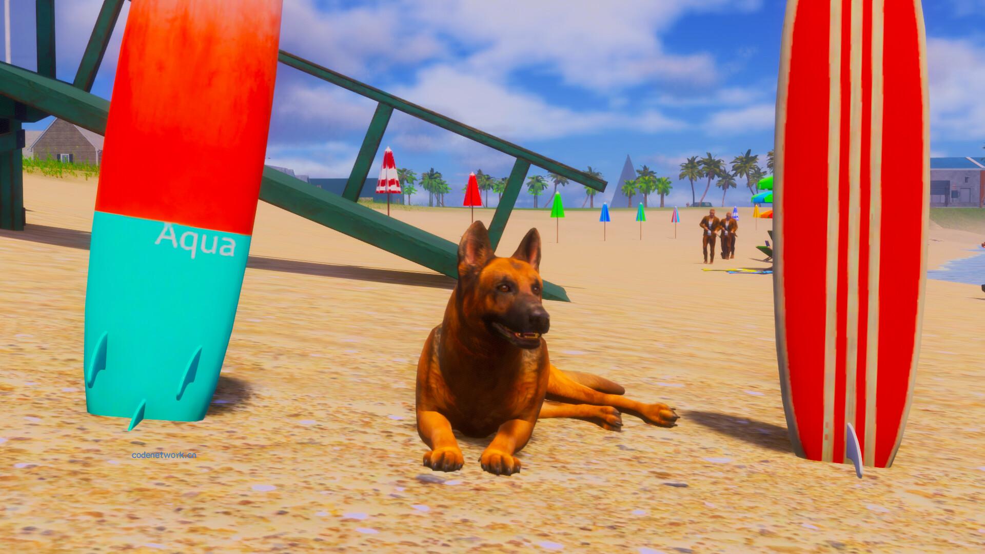 迷途狗爪/Lost Paws 迷途狗爪/Lost Paws