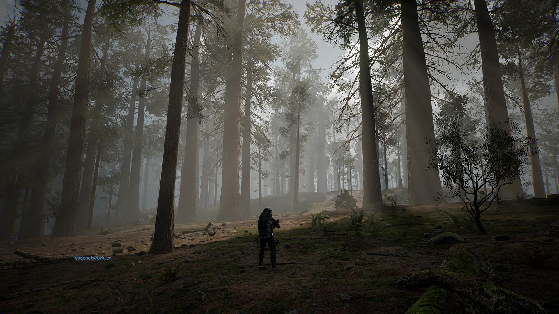 生命效应/LIFE EFFECT|思创源码网