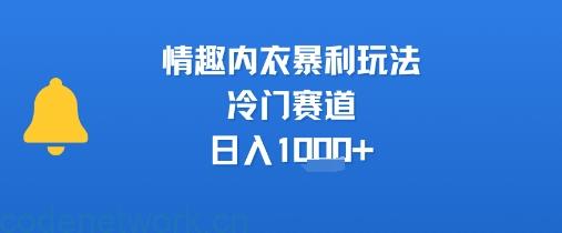情趣内衣暴利玩法，冷门赛道，日入1k+|思创源码网