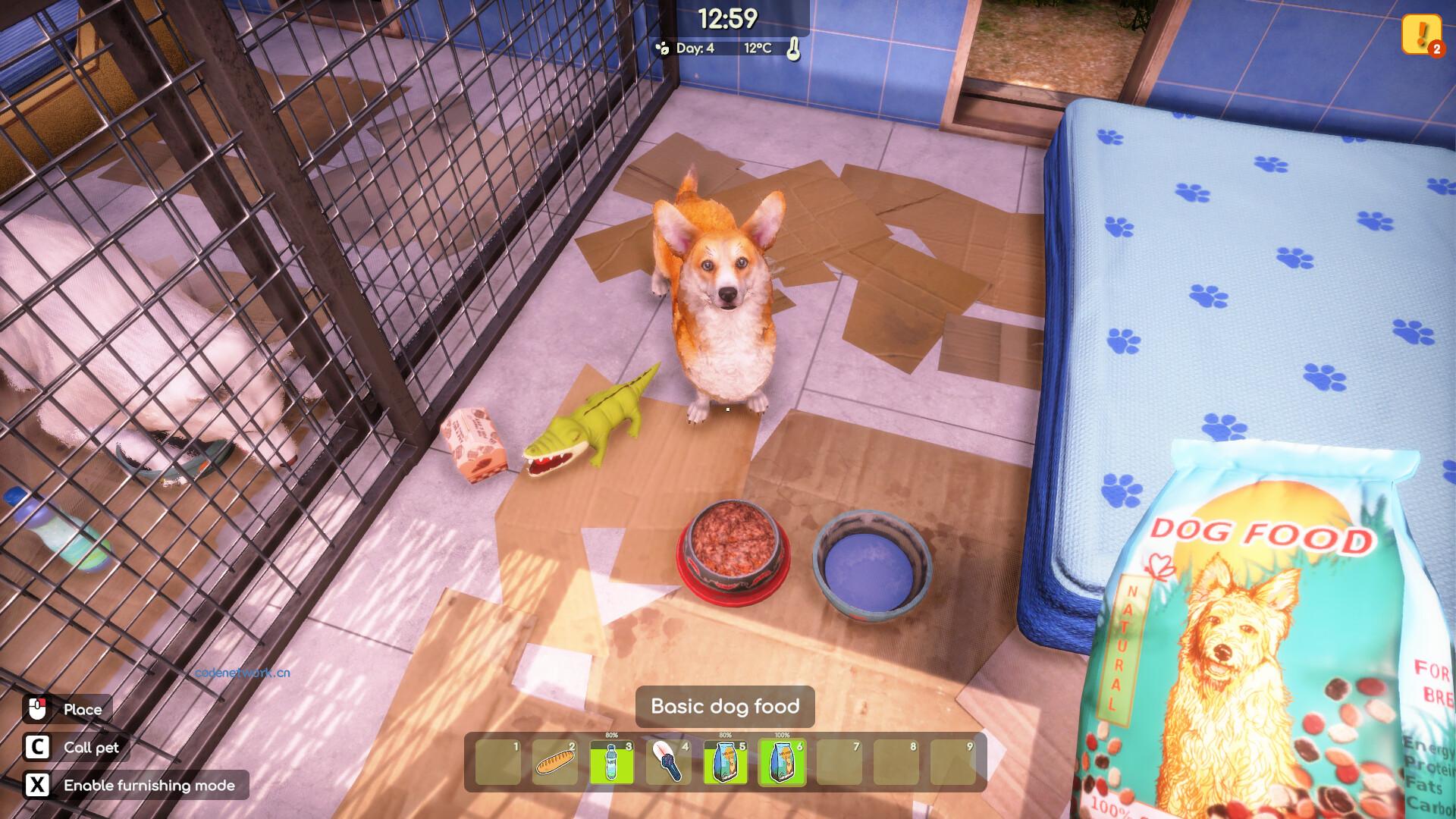 动物收容所2/Animal Shelter 2 版本更新