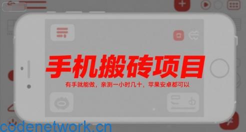 手机搬砖项目，有手就能做，亲测一小时几十，苹果安卓都可以|思创源码网