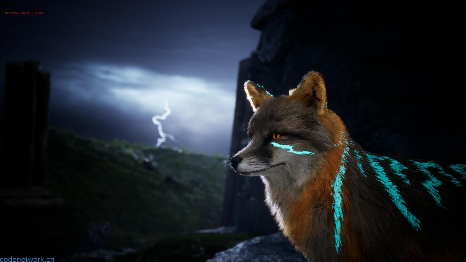 北方之灵2/Spirit of the North 2|思创源码网