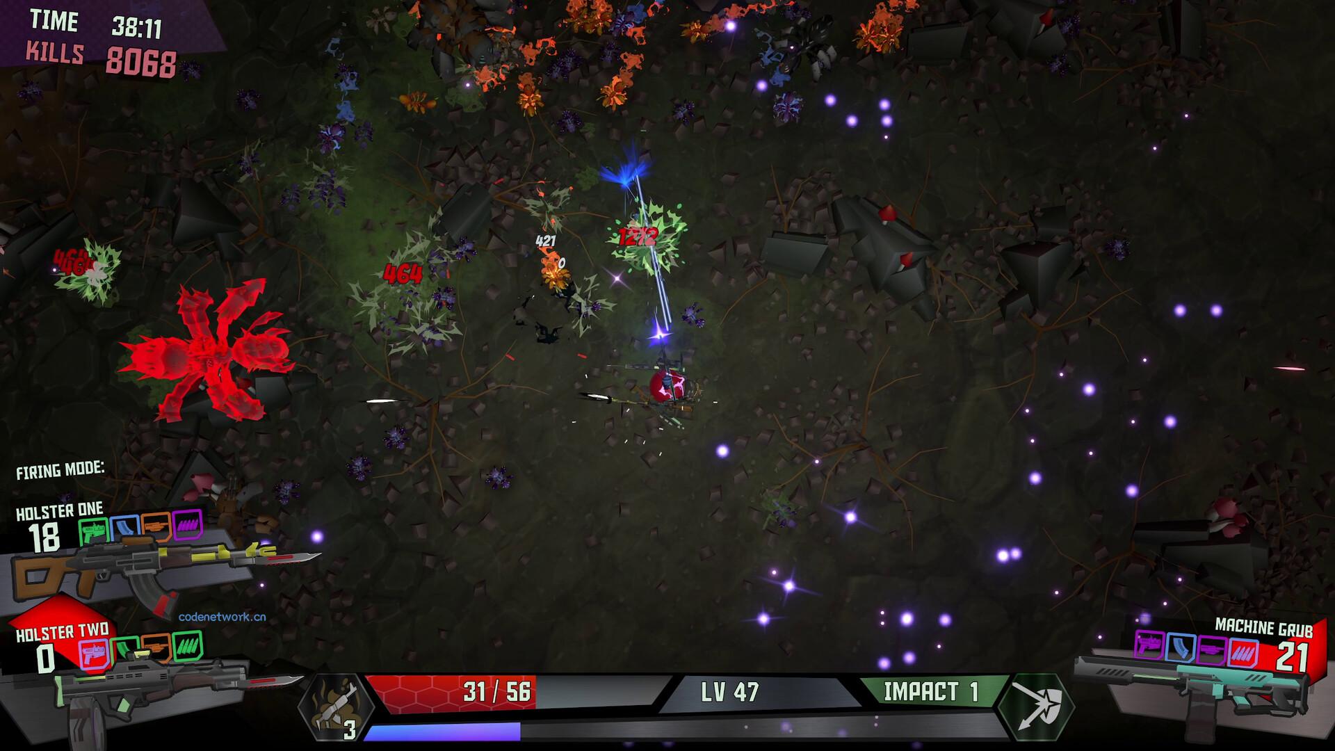 枪螂/Gung Beetle|思创源码网