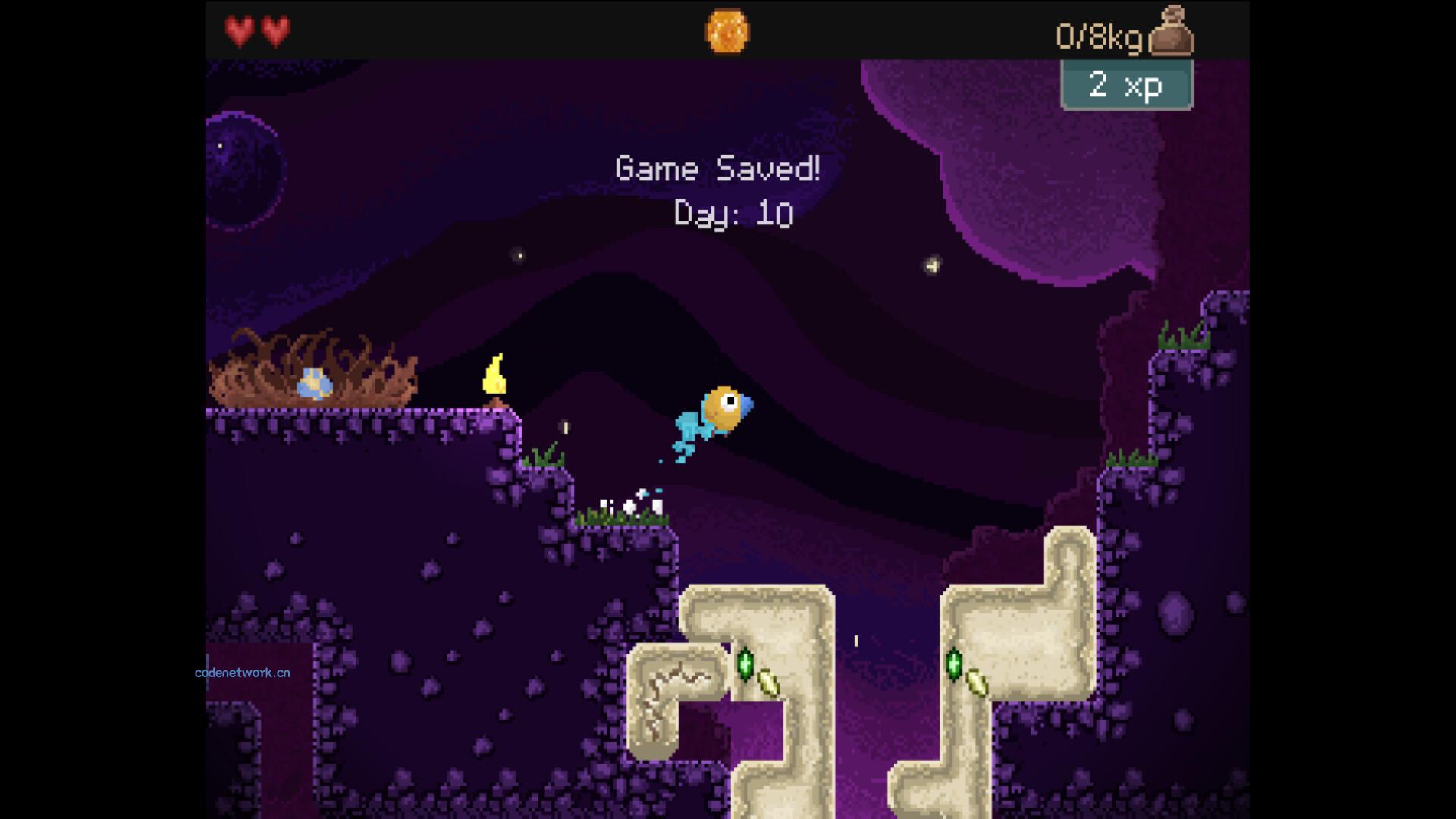 钻头鸟/Drill Bird 钻头鸟/Drill Bird