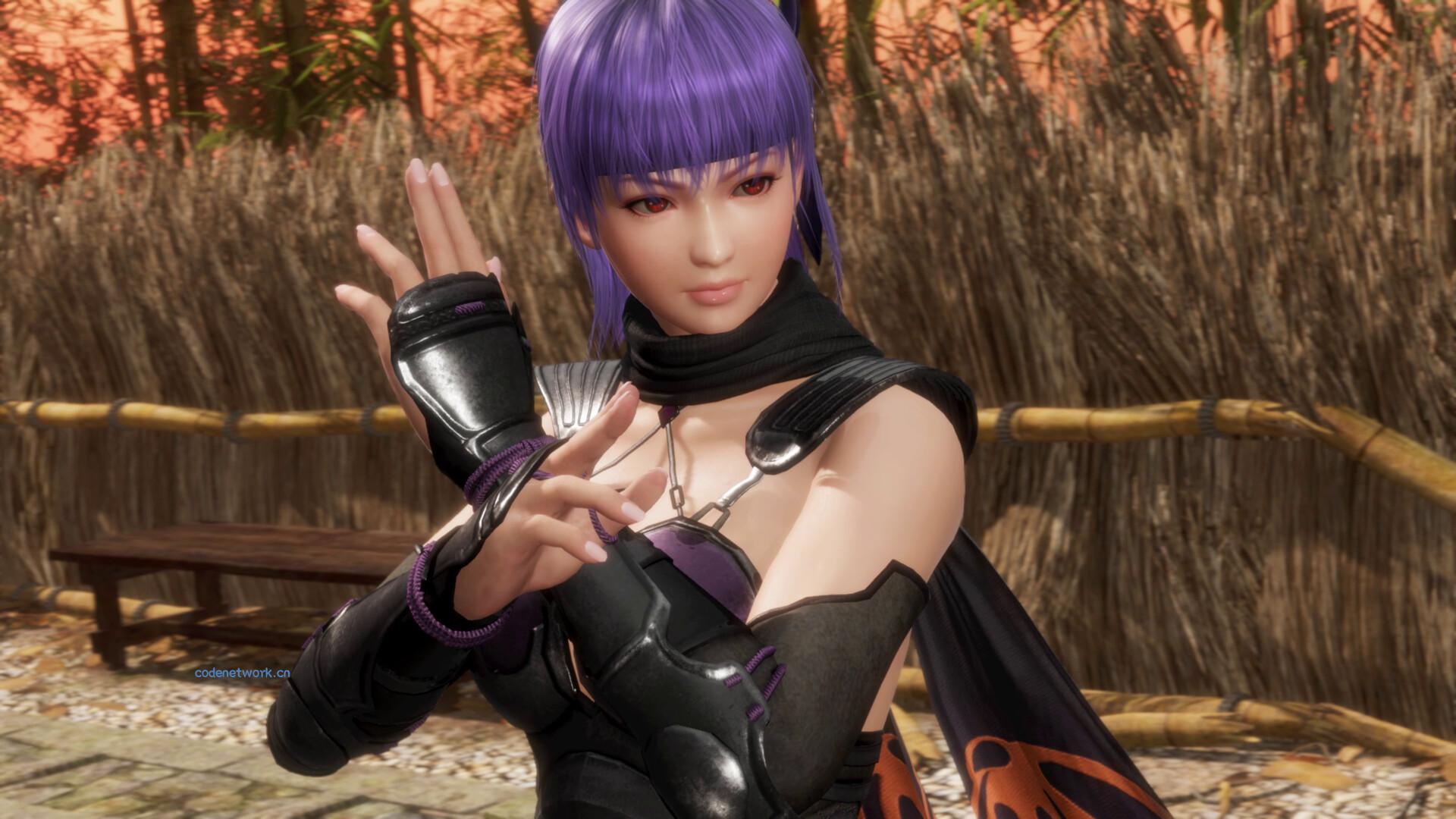 死或生6：最后一战/DEAD OR ALIVE 6 Last Round