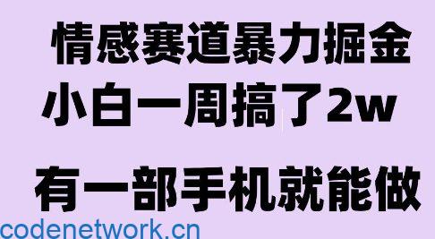 情感暴力掘金项目，新人操作一周挣了2W，长期稳定小白可做【揭秘】|思创源码网
