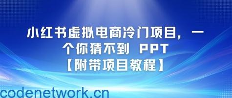 小红书虚拟电商冷门项目，一个你猜不到 PPT【附带项目教程】|思创源码网