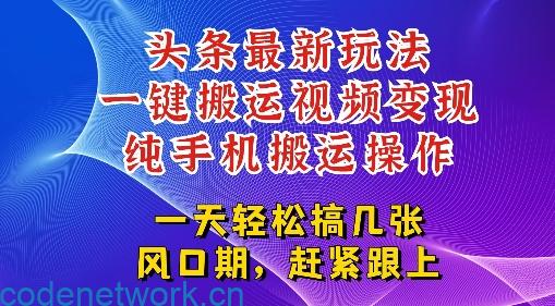 今日头条最新玩法，一键搬运视频也能轻松变现，随随便便就爆百W流量，新风口新玩法|思创源码网