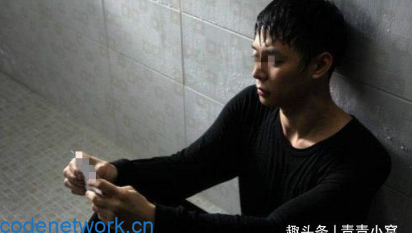 梦见在一个满是糖果拐杖的森林迷路|思创源码网